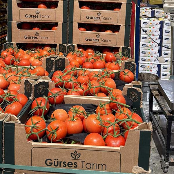 Pomodori a grappolo - Olanda - 2,70-3 euro al kg